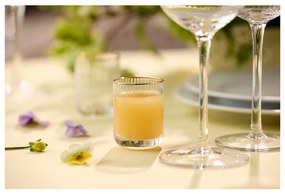 Чаши за шотове в комплект от 4 бр. 60 ml Palermo – Lyngby Glas