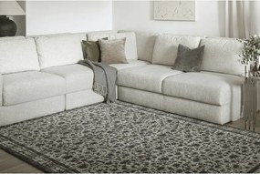 Антрацитен вълнен килим 200x300 cm Agnus Classic – Agnella