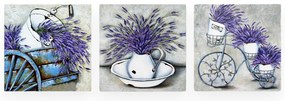 Картини в комплект от 3 бр. 30x30 cm Lavender - Wallity