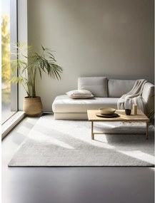 Светлосив двустранен ръчно изработен ютен килим 60x90 cm Bouclé Jaipur – Hanse Home