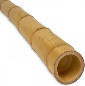 Бамбуков стълб, цвят натурал, ф50-60 cm  L-1.80m