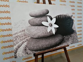 Картина на платно – Цвят и камъни в пясък в черно-бяло