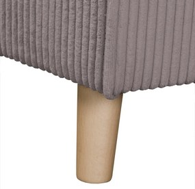 Ъглов диван от сив велур (десен ъгъл) Ariella - Ropez