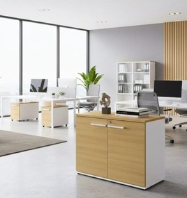 Кабинет Storix-Sonoma-Leuko