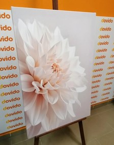 Картина на платно – Бели венчелистчета