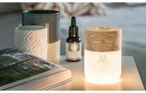 Електрически дифузер Smart – Gingko