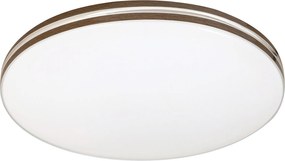Rabalux Oscar2 Таванно осветление (плафони) IP20 LED 18W 4000 71173