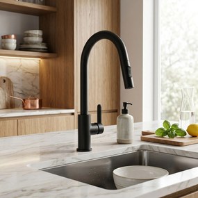 Смесител за кухня REA Ontario Black