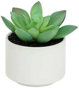 Изкуствено растение atmosphera Succulent, 13 cm, Различни видове