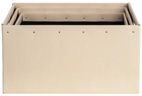 Бежови картонени кутии за съхранение в комплект от 3 броя Ture - Bigso Box of Sweden