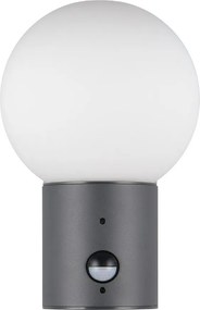 Стенно външно осветително тяло със сензор за движение ø 18 cm Mures – Trio