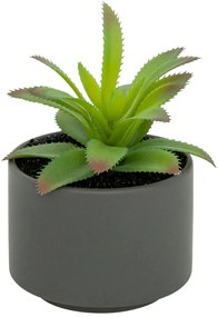 Изкуствено растение atmosphera Succulent, 13 cm, Различни видове