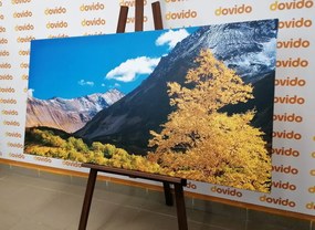 Картина на платно – Прекрасна природа на Камчатка в Русия