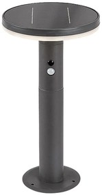 RABALUX 77018 Alaska, соларна лампа, IP44, LED 10W, H38cm - 77018