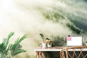 Самозалепващ фототапет – Мъглива гора