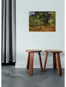 Репродукция на картина на Клод Моне - , 70 x 50 cm The Bodmer Oak, Fontainebleau Forest - Fedkolor
