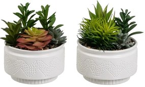 Изкуствени растения в комплект от 2 бр. (височина 19 cm) Cactus – Casa Selección