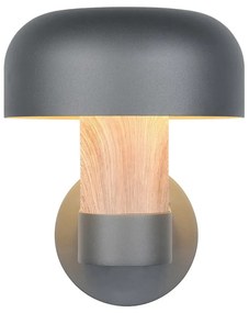 Стенно външно осветително тяло (височина 24,5 cm) Fraser – Trio