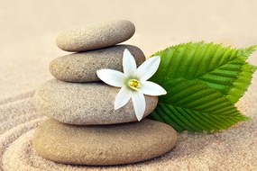 Картина на платно – Бял цвят и камъни в пясък
