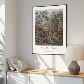 Картина 51x71 cm Tafel 72 – Malerifabrikken