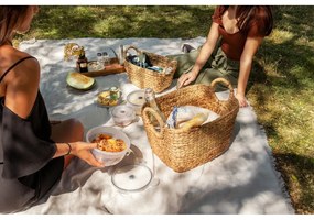 Комплект от 4 кутии за съхранение на храна и вакуумна помпа Flavia - Compactor