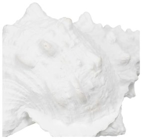 Статуя от полиресин (височина 12 cm) Seashell – Ixia