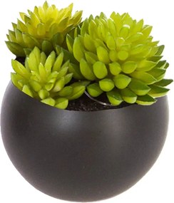 Изкуствено растение atmosphera Succulent, 6 cm, Различни видове