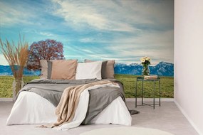 Фототапет – Панорама на планините