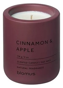 Свещ от соев восък с време на горене 24 h Fraga: Cinnamon & Apple – Blomus