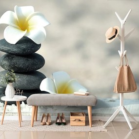 Фототапет – Хармонични камъни и плумерия