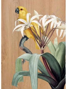 Рисуване Yellow Parrots L