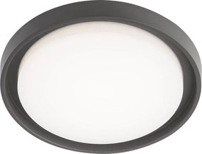 Redo 9184 - Външно таванно LED осветително тяло BEZEL LED/30W/230V IP54 антрацит