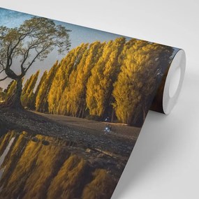 Фототапет – Дърво под звездно небе