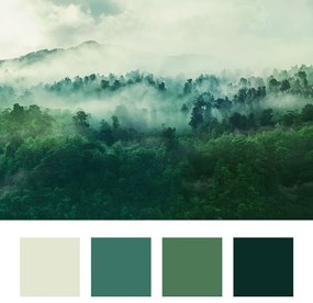 Фототапет - Мъглива гора