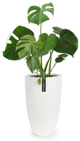 Fox & Fern Саксия Almere Fibre Stone, идеална за растения, ръчно изработена, конусовидна