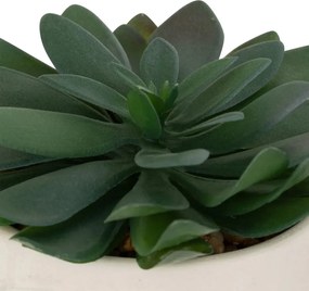 Изкуствено растение atmosphera Dusty Succulent, 22 cm, Различни видове