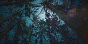 Картина на платно – Гора под нощно небе