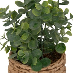 Изкуствено растение atmosphera Jaye Eucalyptus, 27 cm