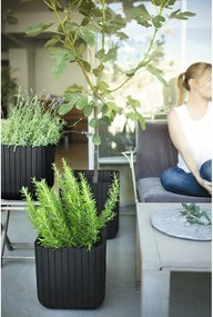 Пластмасова саксия за цветя Cube – Keter