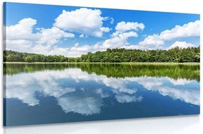 Картина на платно – Природа през лятото
