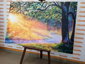 Картина на платно – Изгрев в гората