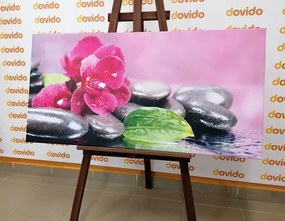 Картина на платно – Орхидея с релаксиращ дух