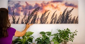 Картина на платно – Стъбла дълга трева