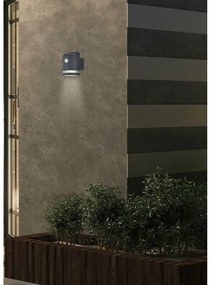 LED външно осветително тяло със сензор за движение (височина 13 cm) Salta – Trio