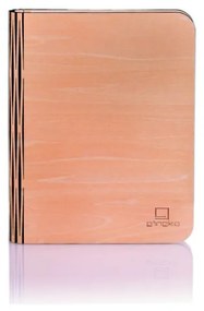 Светлинна декорация с USB в естествен цвят Booklight – Gingko