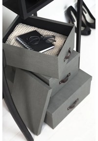 Кутии за съхранение с капак в комплект от 3 Inge - Bigso Box of Sweden