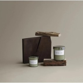 Ароматна свещ от соев восък време на горене 45 час Valoa Fig Tree – Lime – Blomus