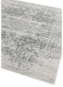 Сив килим 120x170 cm Nova – Asiatic Carpets