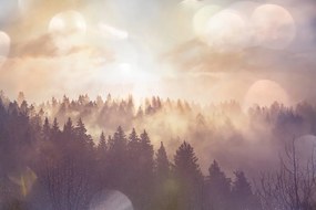 Самозалепващ фототапет – Мъгла над гора