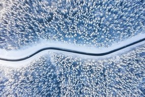 Фототапет – Изглед към зимен пейзаж